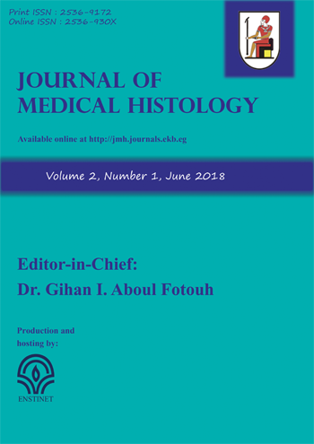 Journal of Medical Histology